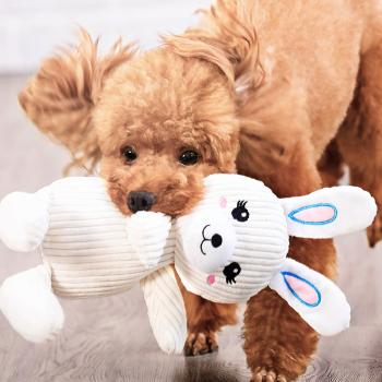 Großhandel B2B Hund Kauspielzeug Beißspielzeug gelbe Ente